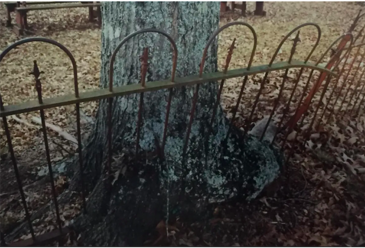 <span>Cemetery 1906 Original Fence:</span> Photo by Ryan Arvay ©2001